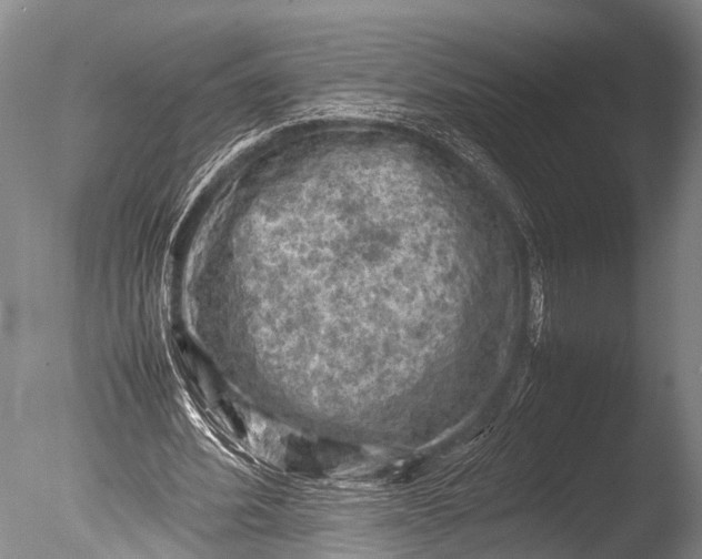 X0000085730580200703301404