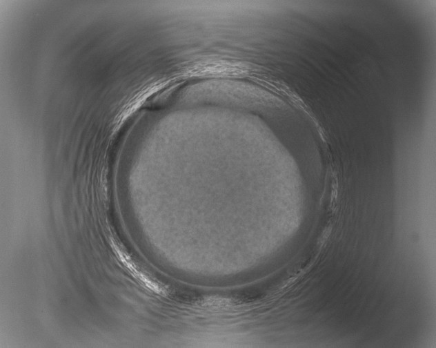 X0000085730581200703301404