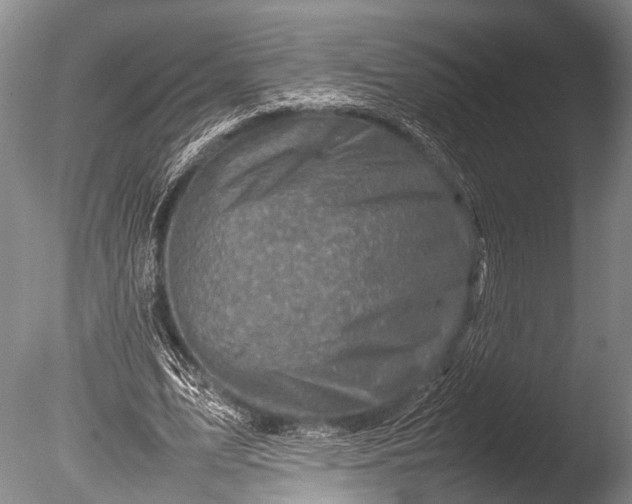 X0000085730583200703301404