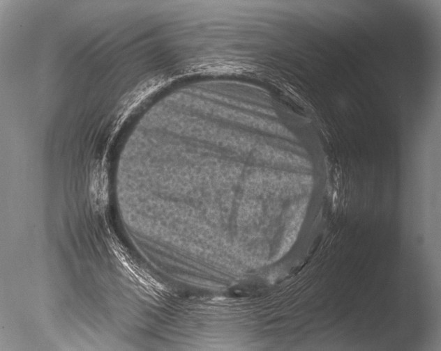 X0000085730584200703301404