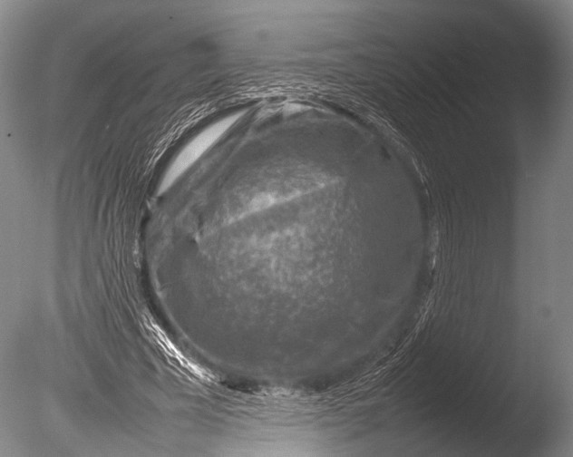 X0000085730585200703301404