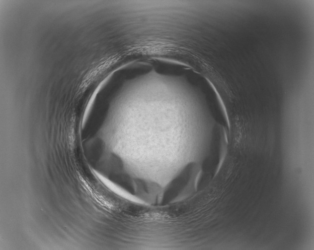 X0000085730586200703301404