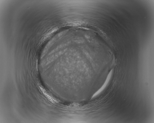 X0000085730589200703301404