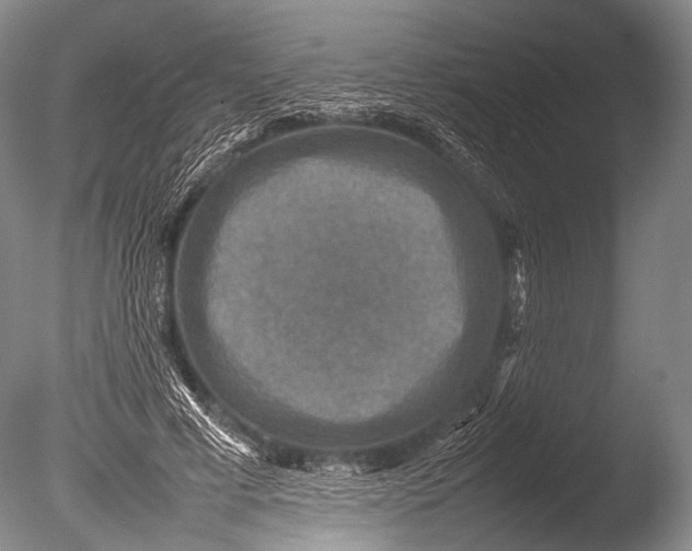 X0000085730593200703301404