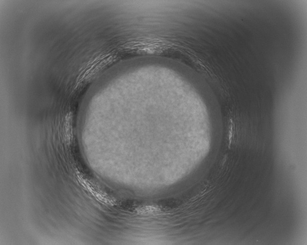 X0000085730594200703301404