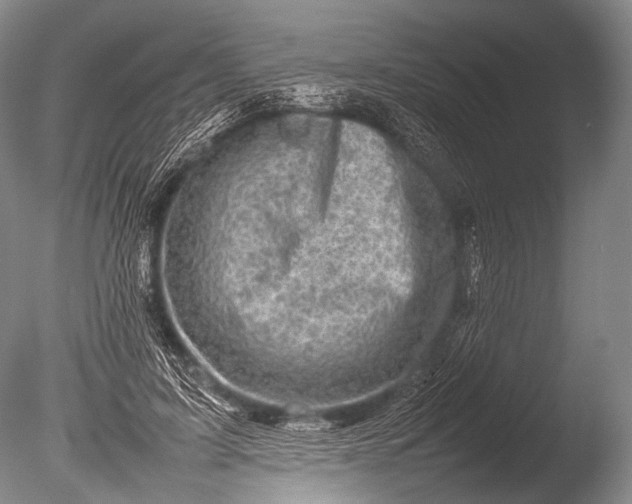 X0000085730595200703301404