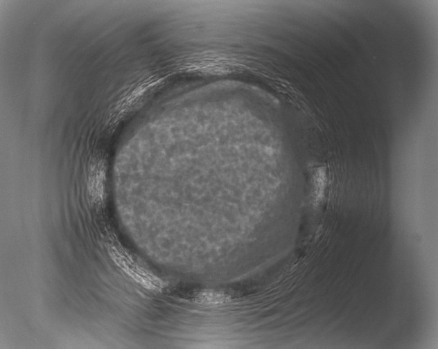 X0000085730596200703301403