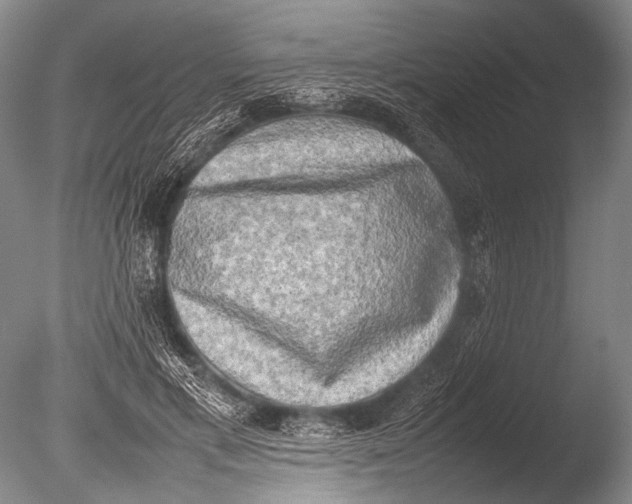 X0000085730597200703301403