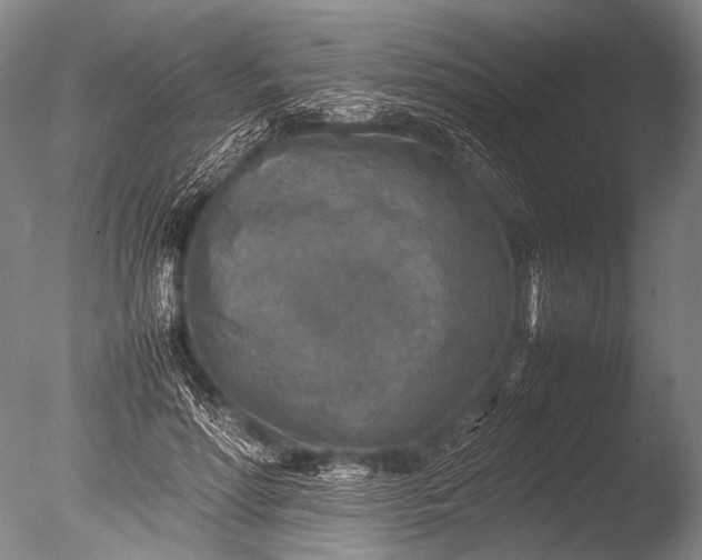 X0000085730598200703301403