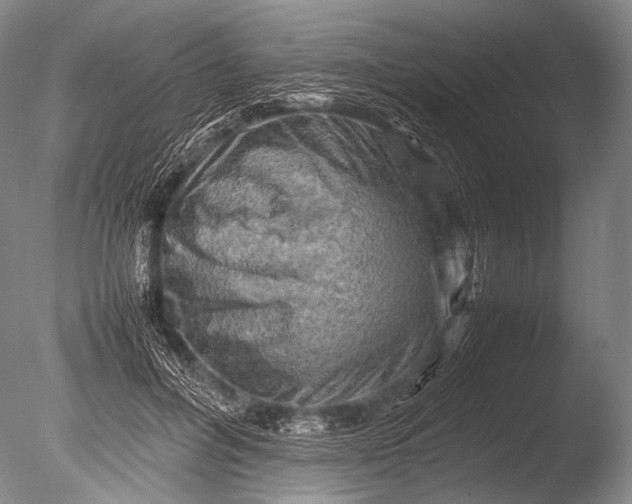 X0000085730600200703301403