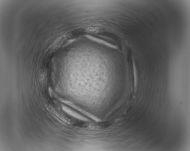 X0000085730601200703301403