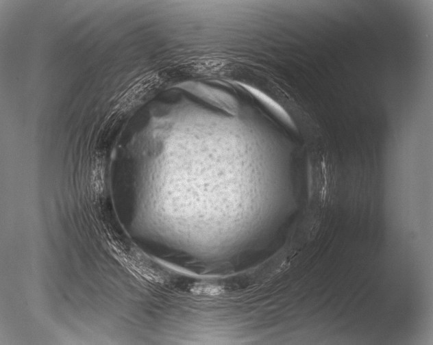 X0000085730602200703301403