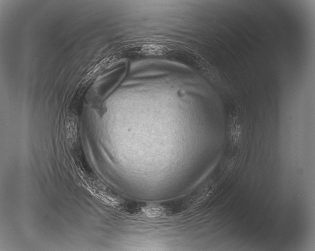 X0000085730603200703301403