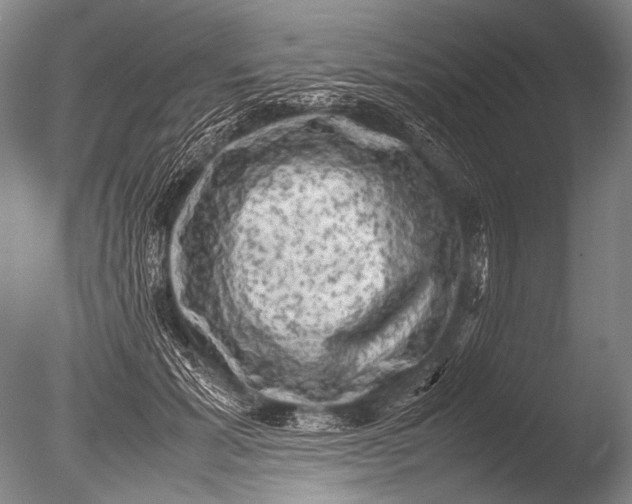 X0000085730605200703301403