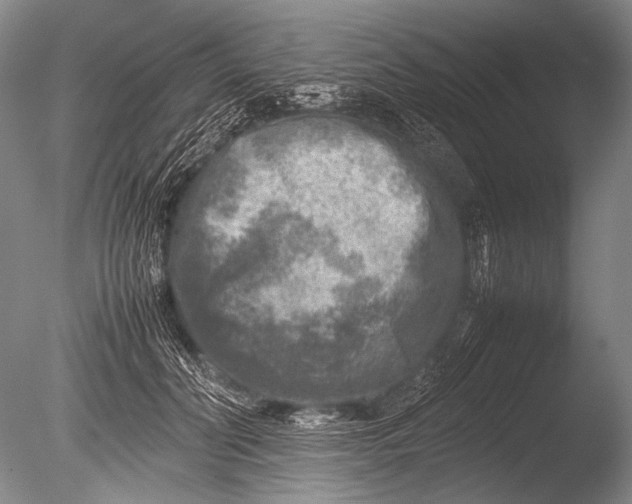 X0000085730606200703301403