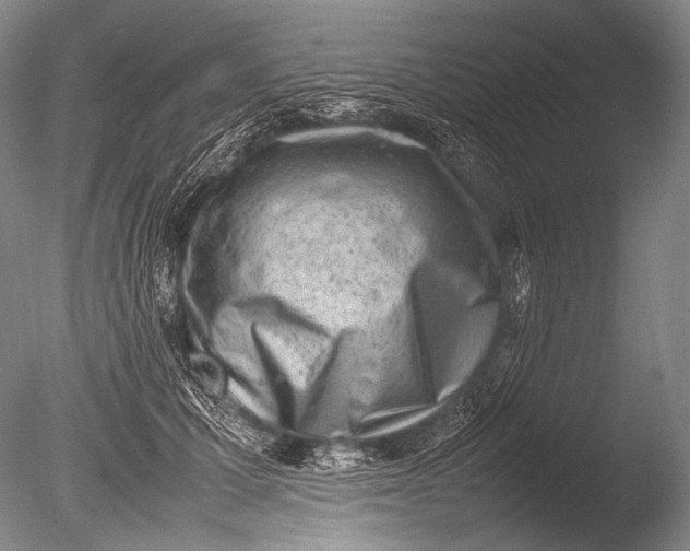 X0000085730607200703301403