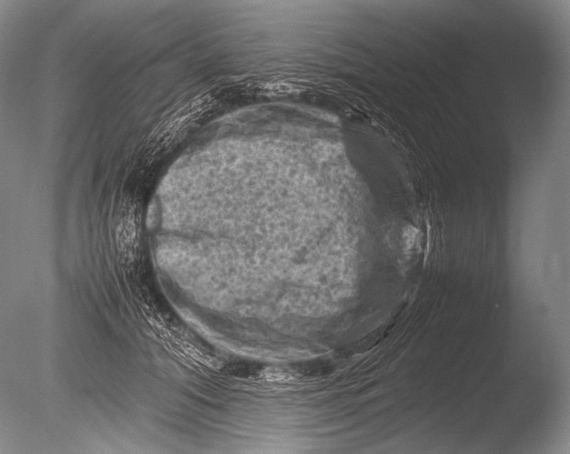 X0000085730608200703301403