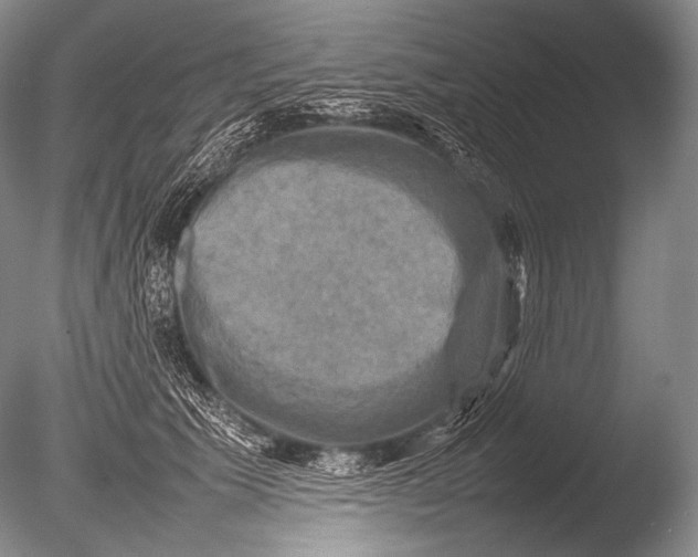 X0000085730609200703301403