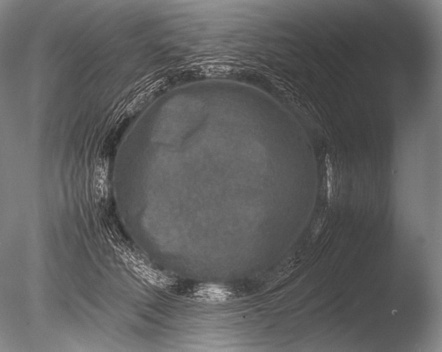 X0000085730610200703301403