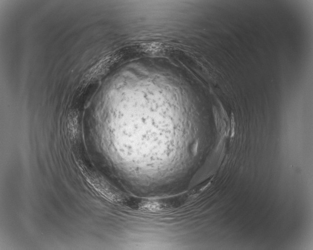 X0000085730611200703301403