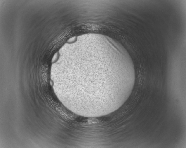 X0000085730612200703301403