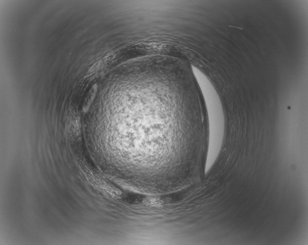 X0000085730613200703301403