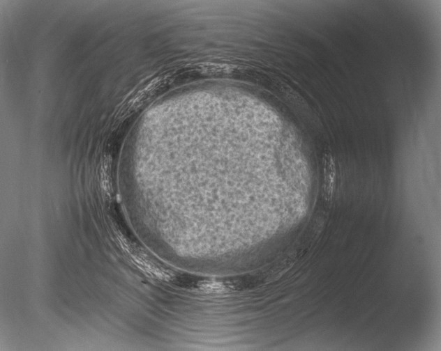 X0000085730616200703301403