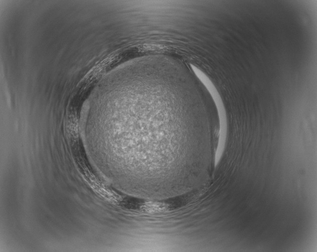 X0000085730617200703301403