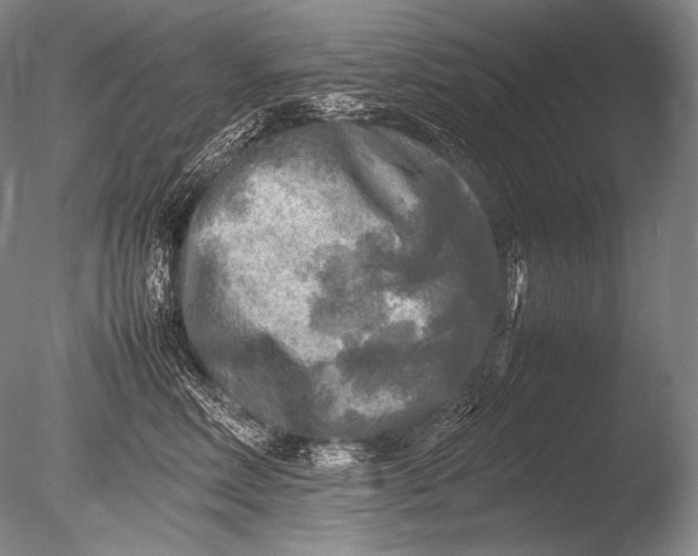 X0000085730618200703301403