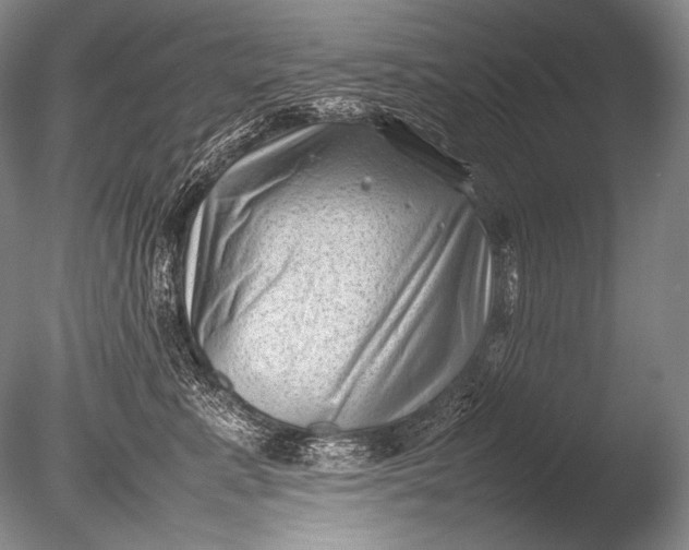 X0000085730619200703301403