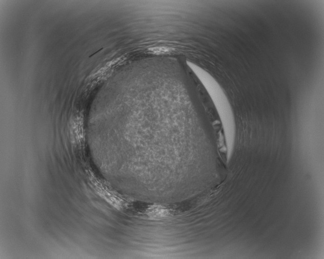 X0000085730620200703301403