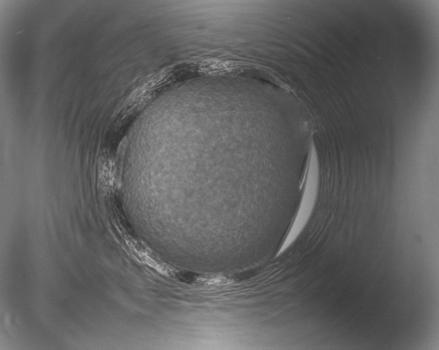 X0000085730621200703301403