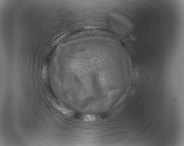 X0000085730623200703301403