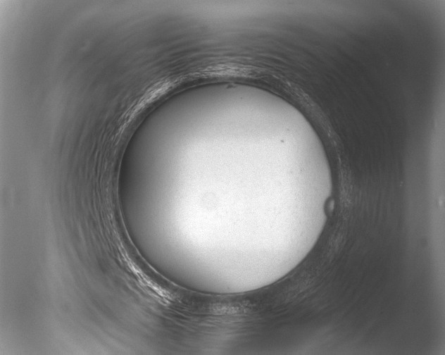 X0000085730625200703301402