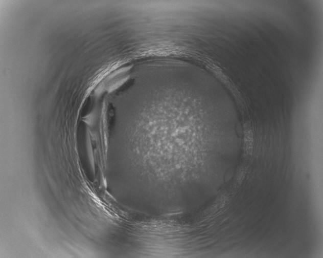 X0000085730626200703301402