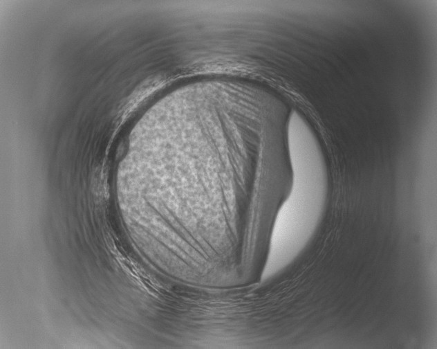 X0000085730628200703301402