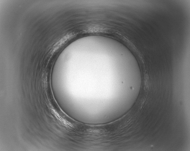 X0000085730629200703301402