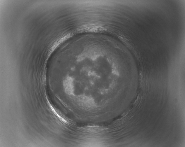 X0000085730630200703301402