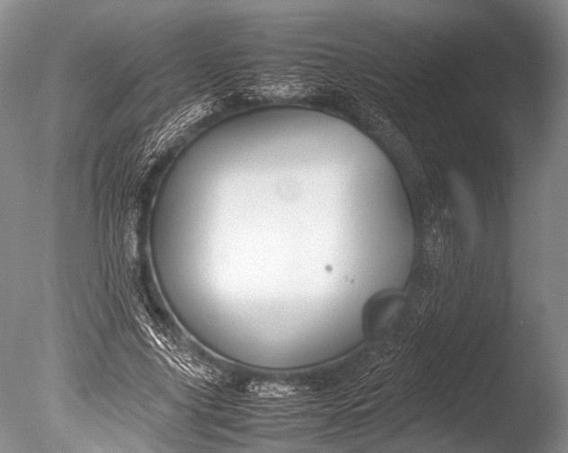 X0000085730635200703301402