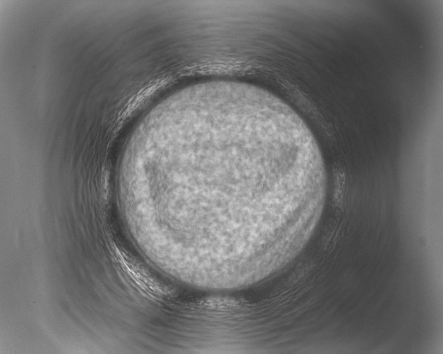 X0000085730636200703301402