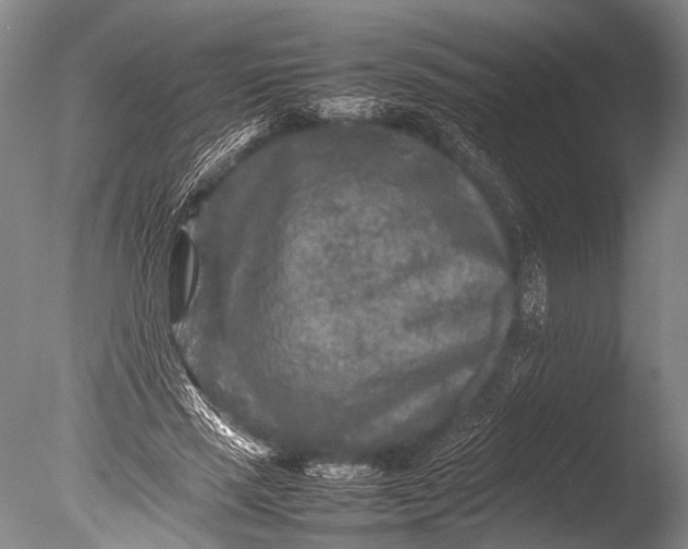 X0000085730637200703301402