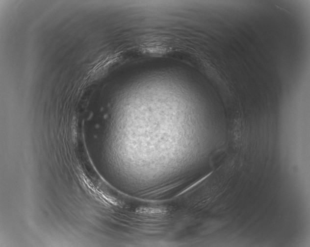 X0000085730639200703301402