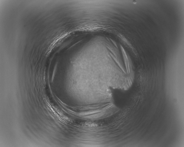 X0000085730640200703301402