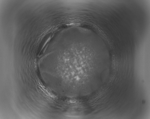 X0000085730641200703301402