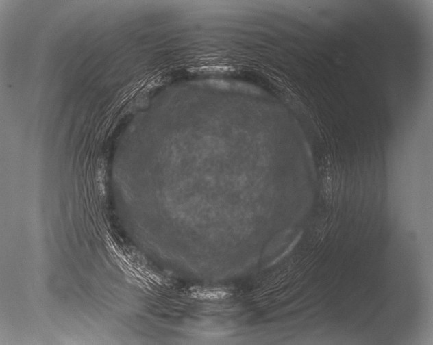 X0000085730643200703301402