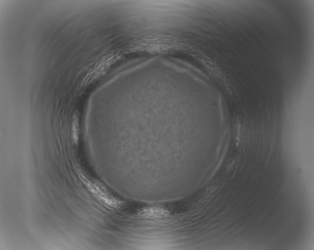 X0000085730644200703301402