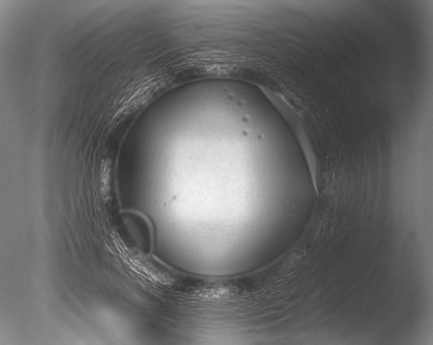 X0000085730646200703301402