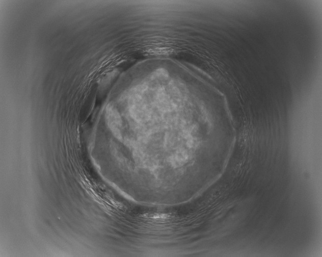 X0000085730647200703301403