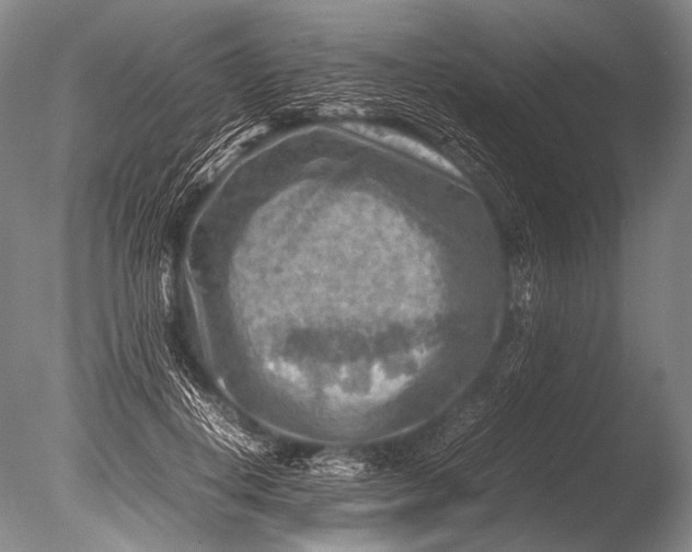 X0000085730648200703301403