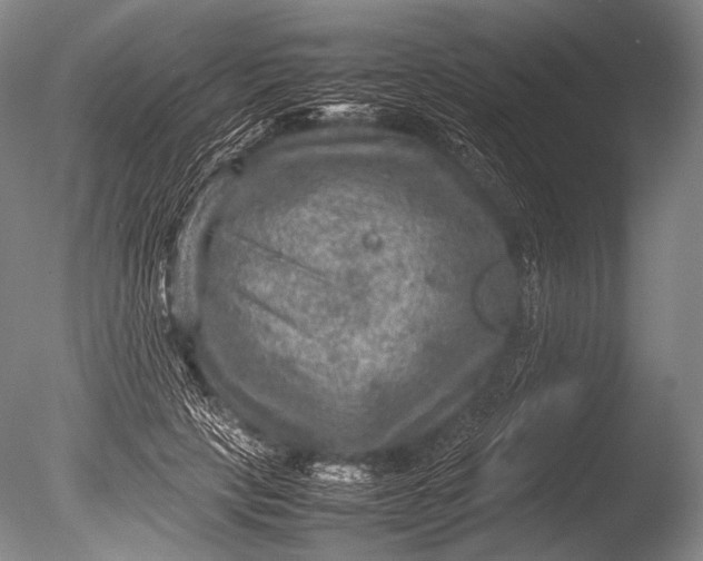 X0000085730649200703301403